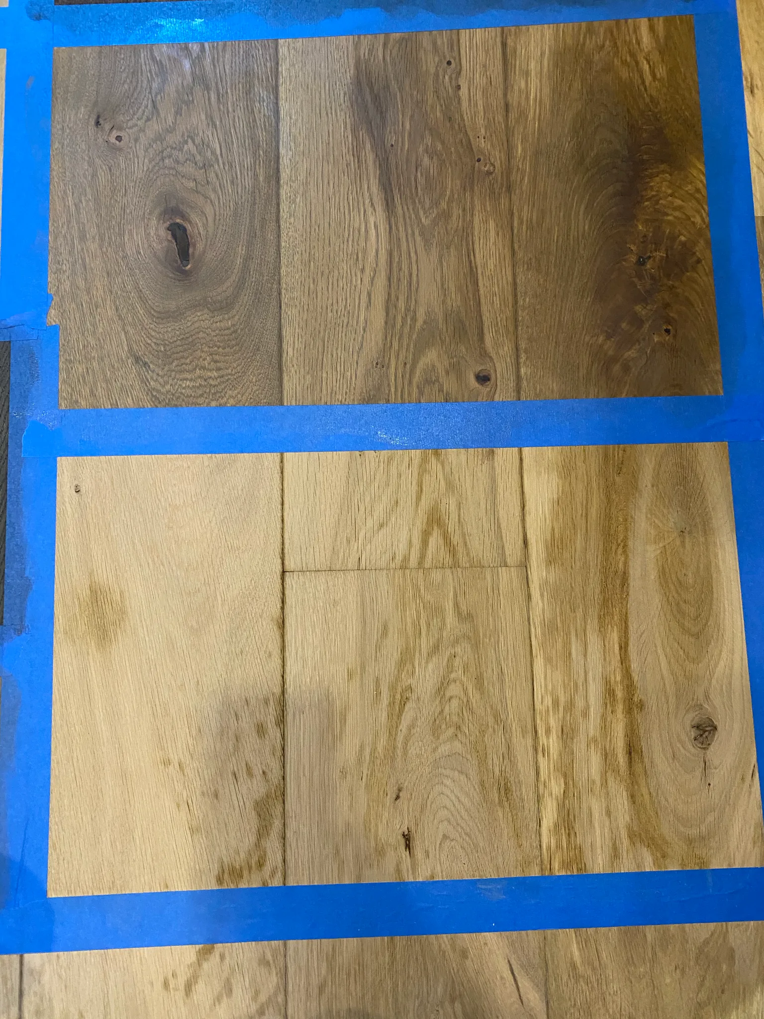 Two custom stain samples taped off side by side on the sanded floor at Nando Trattoria